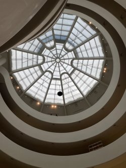 IMG_1587.jpeg IMG_1587.jpeg