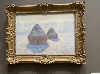 IMG_1585.jpeg IMG_1585.jpeg