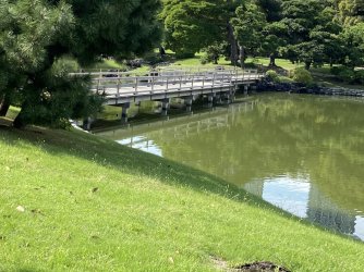 IMG_4738.jpeg IMG_4738.jpeg