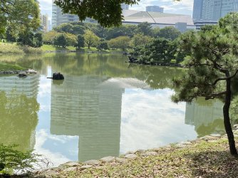 IMG_4739.jpeg IMG_4739.jpeg