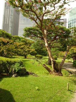 DSC03852.JPG DSC03852.JPG