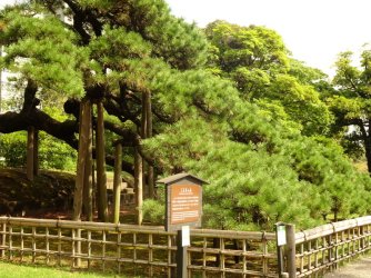 DSC03863.JPG DSC03863.JPG