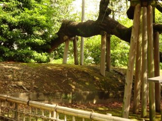 DSC03864.JPG DSC03864.JPG