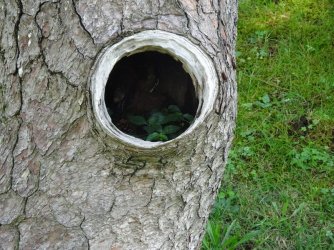 DSC03915.JPG DSC03915.JPG