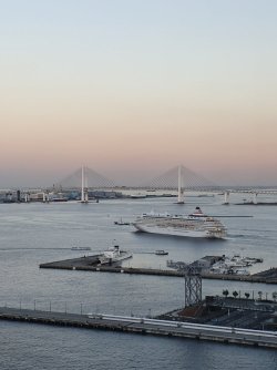 20231006_191117.jpg 20231006_191117.jpg