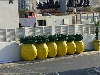 Pineapples.jpg Pineapples.jpg