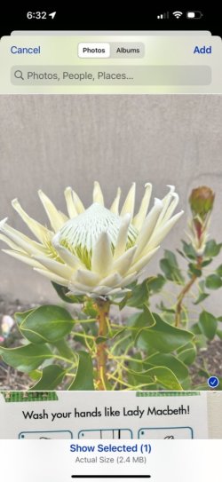 IMG_5800.jpg IMG_5800.jpg