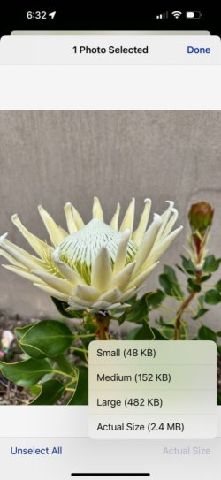 IMG_5802.jpg IMG_5802.jpg