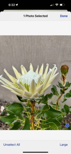 IMG_5803.jpg IMG_5803.jpg