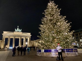 Tree.jpg Tree.jpg
