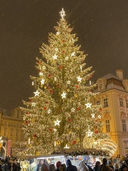 Prague 8.jpg Prague 8.jpg