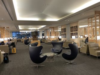 IMG_2516.jpeg IMG_2516.jpeg