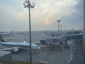 IMG_2517.jpeg IMG_2517.jpeg