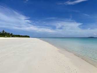 IMG_1703.jpeg IMG_1703.jpeg