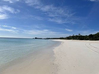 IMG_1704.jpeg IMG_1704.jpeg