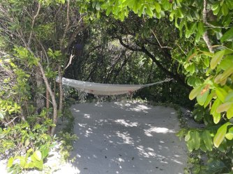 IMG_1699.jpeg IMG_1699.jpeg