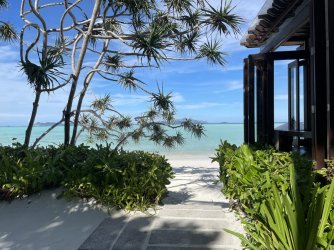 IMG_1694.jpeg IMG_1694.jpeg