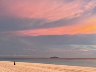 IMG_7689.jpeg IMG_7689.jpeg