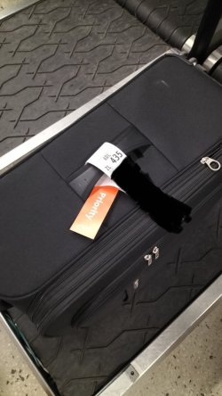 IMG_20231012_111755.jpg IMG_20231012_111755.jpg