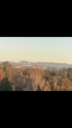 IMG_0303.png IMG_0303.png