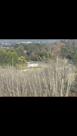 IMG_0302.png IMG_0302.png