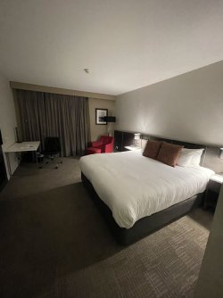 IMG_5621.jpeg IMG_5621.jpeg