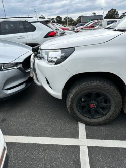 IMG_4343.jpeg IMG_4343.jpeg