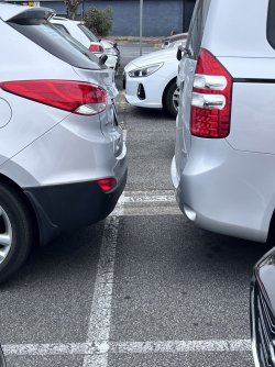 IMG_5246.jpeg IMG_5246.jpeg