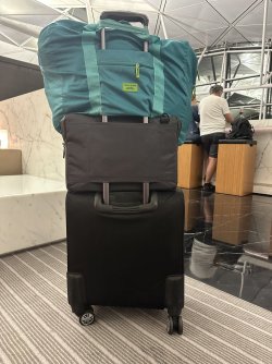 IMG_3291.jpeg IMG_3291.jpeg