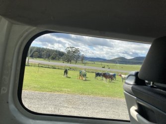 IMG_0535.jpeg IMG_0535.jpeg