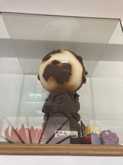 IMG_0536.jpeg IMG_0536.jpeg