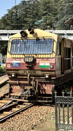 IMG_8749.jpeg IMG_8749.jpeg