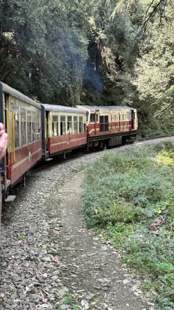 IMG_8762.jpeg IMG_8762.jpeg