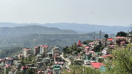 IMG_8779.jpeg IMG_8779.jpeg