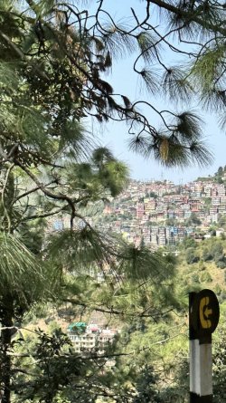 IMG_8785.jpeg IMG_8785.jpeg