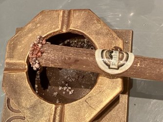 IMG_E9326.JPG IMG_E9326.JPG