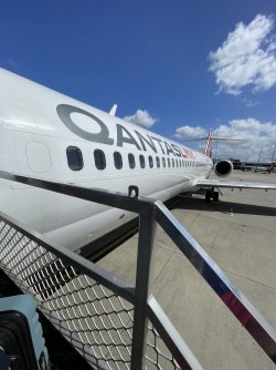 IMG_5697.jpeg IMG_5697.jpeg