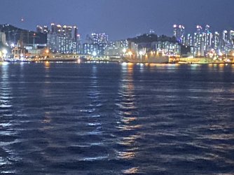 IMG_4869.jpeg IMG_4869.jpeg