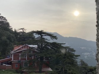 IMG_4872.jpeg IMG_4872.jpeg