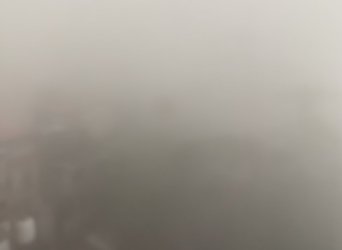 IMG_4875.jpeg IMG_4875.jpeg