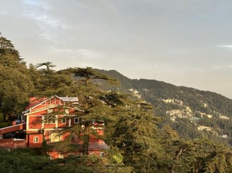 IMG_8846.jpeg IMG_8846.jpeg