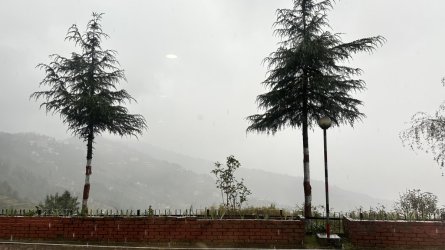 IMG_8832.jpeg IMG_8832.jpeg