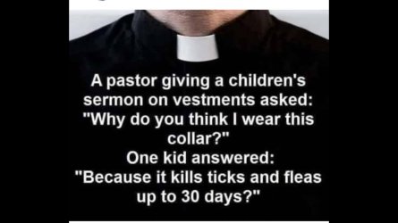 Collar.jpg Collar.jpg