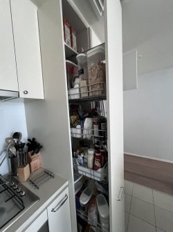 IMG_5253.jpeg IMG_5253.jpeg