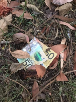 1697564117679.png 1697564117679.png