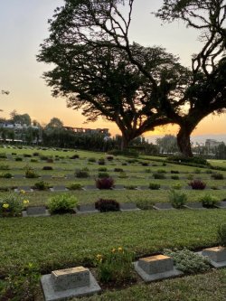 IMG_2666.jpeg IMG_2666.jpeg