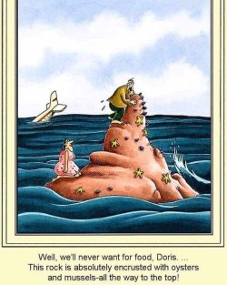 1697871582837.jpeg 1697871582837.jpeg