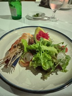 IMG_6045.jpeg IMG_6045.jpeg