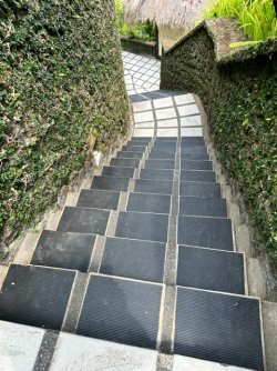IMG_6068.jpeg IMG_6068.jpeg