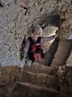 2023-10-21 14.44.13.jpg 2023-10-21 14.44.13.jpg